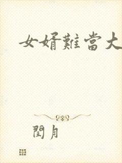 女婿难当大结局