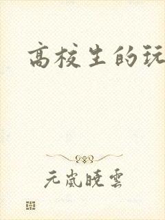 高校生的玩物封面