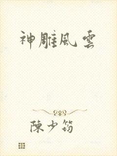 神雕风云封面