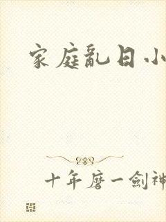 家庭乱日小说