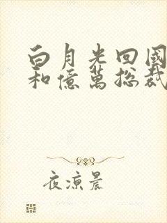 白月光回国后我和亿万总裁闪婚了短剧