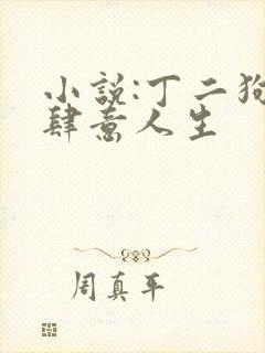 小说:丁二狗的肆意人生