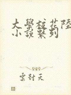 大学校花陆冰嫣小说系列