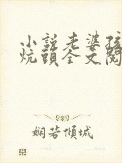 小说老婆孩子热炕头全文阅读