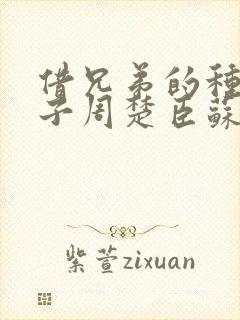 借兄弟的种生孩子周楚臣苏糖