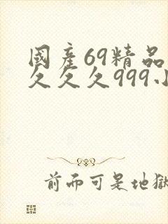 国产69精品久久久久999小说