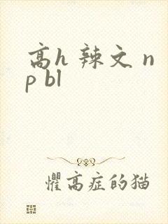 高h 辣文 np bl封面
