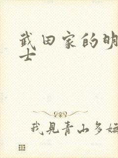 武田家的明国武士