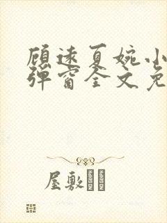 顾远夏婉小说无弹窗全文免费阅读封面