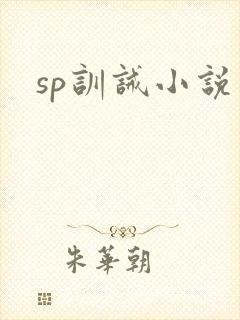 sp训诫小说