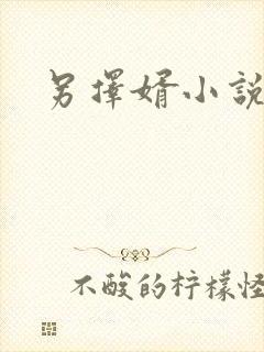 另择婿小说