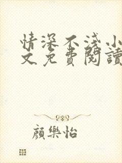 情深不浅小说全文免费阅读封面