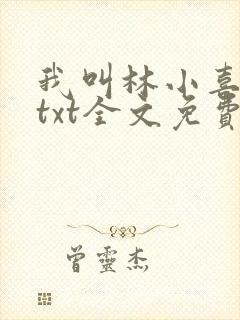 我叫林小喜乖宝txt全文免费