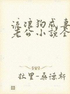 流浪狗成妻子的老公小说全文阅读