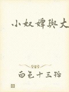 小奴婢与大少爷