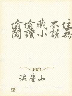 偷偷藏不住免费阅读小说无删减版