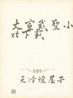 大宣武圣小说txt下载