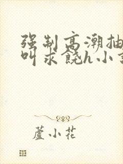 强制高潮抽搐哭叫求饶h小说