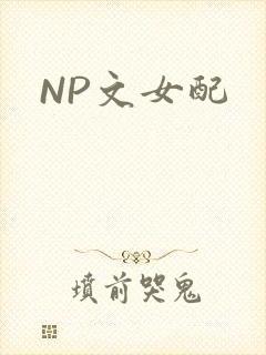NP文女配