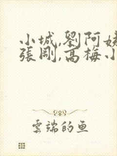 小城,刘阿姨,张刚,高梅小说免费阅读