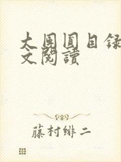 大团圆目录及全文阅读封面