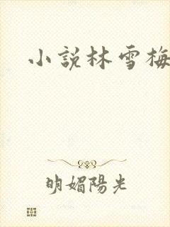 小说林雪梅
