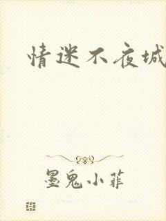 情迷不夜城