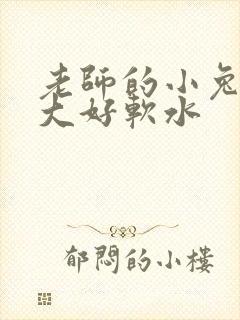 老师的小兔子好大好软水