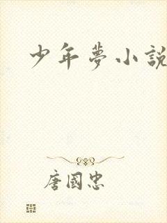 少年梦小说