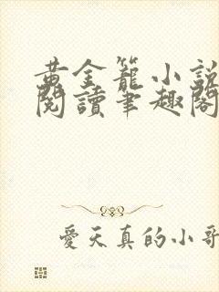 黄金笼小说免费阅读笔趣阁无弹窗封面