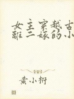女主穿越古代和离二嫁的小说封面