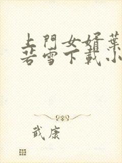 上门女婿叶凡唐若雪下载小说封面