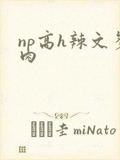 np高h辣文多肉
