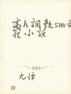 高h调教sm甜宠小说
