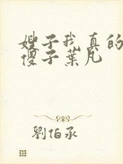 嫂子我真的不是傻子叶凡
