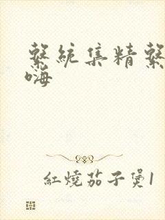 系统集精系统高嗨