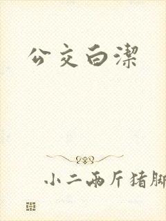 公交白洁封面