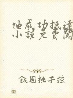他成功抵达花心小说免费阅读全文