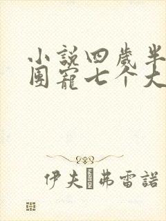 小说四岁半的我团宠七个大佬哥哥封面