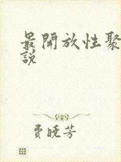 最开放性聚会小说封面