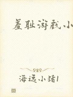 羞耻游戏小说
