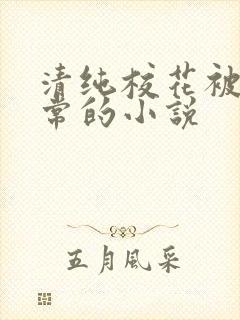 清纯校花被擒日常的小说