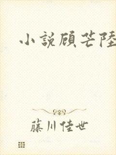 小说顾芒陆承洲