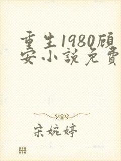 重生1980顾安小说免费阅读最新章节