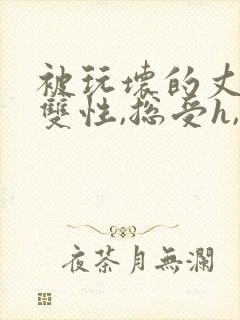 被玩坏的丈夫(双性,总受h,ntr)