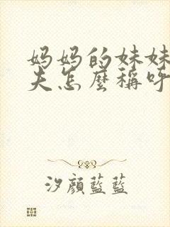 妈妈的妹妹的丈夫怎么称呼