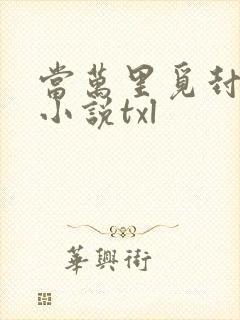 当万里觅封侯的小说txl封面