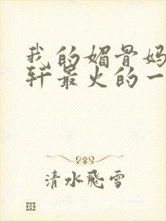 我的媚骨妈妈林轩最火的一句