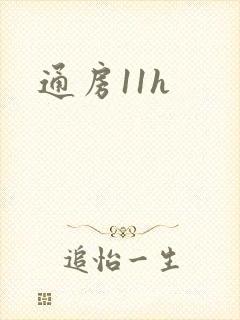 通房11h