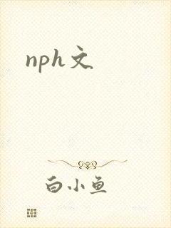 nph文封面